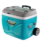 pinnacle-prudence-ice-cooler-box-66L-2-2.jpg