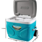 pinnacle-prudence-ice-cooler-box-66L-5-2.jpg